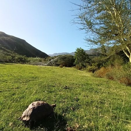 Assegai Rest Villa Robertson Bagian luar foto