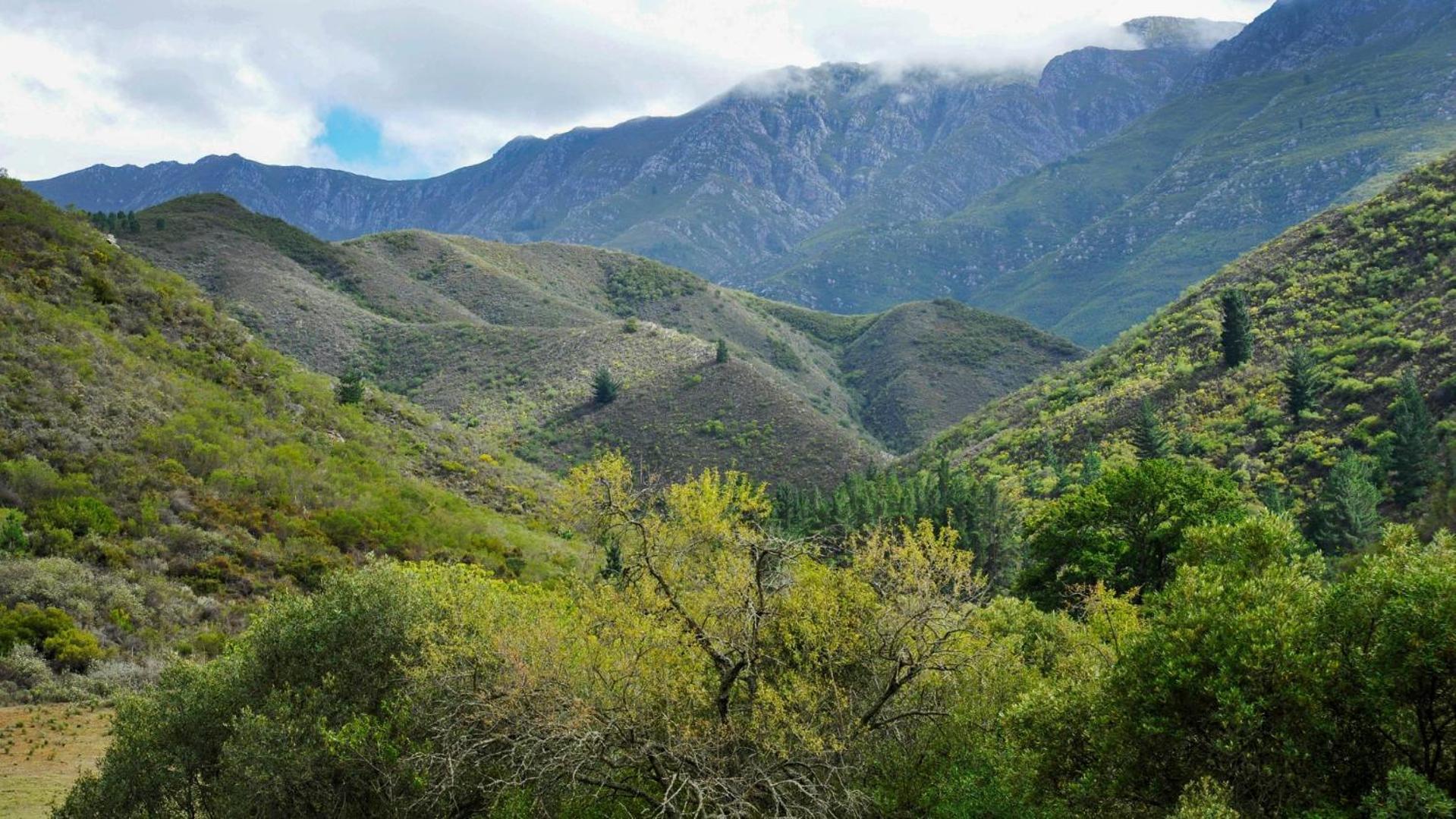 Assegai Rest Villa Robertson Bagian luar foto