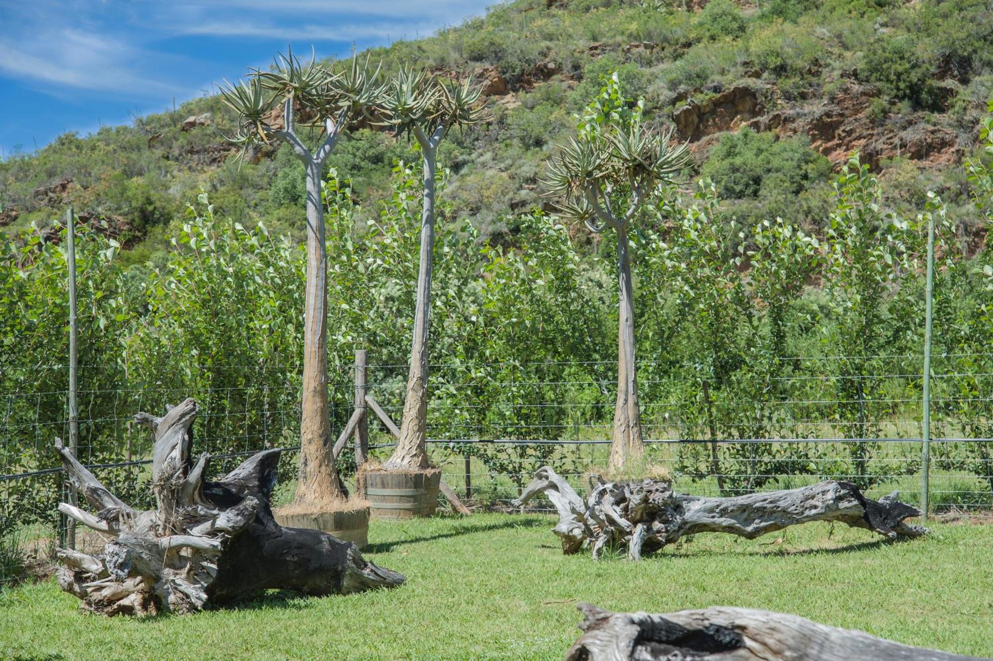 Assegai Rest Villa Robertson Bagian luar foto