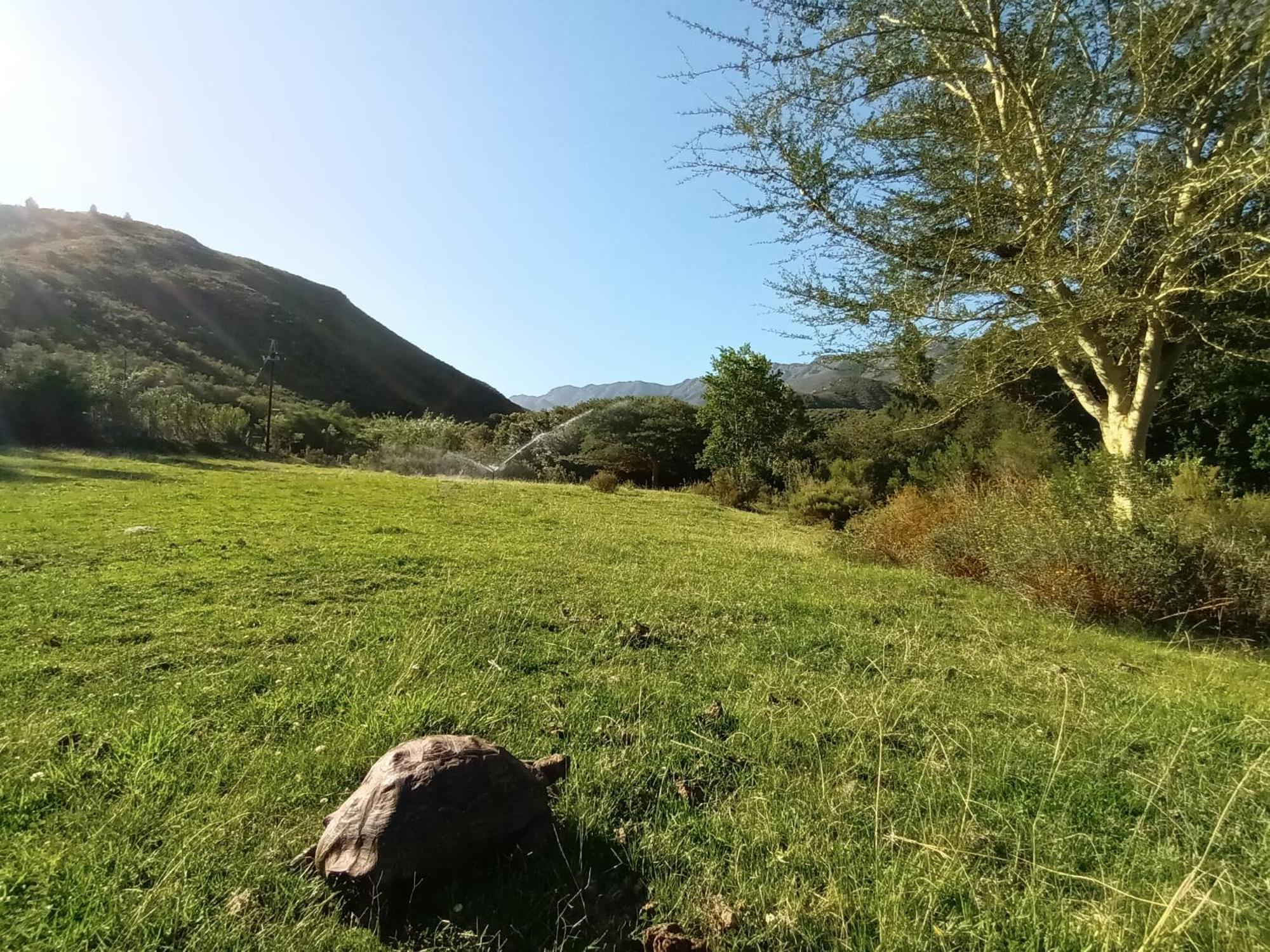 Assegai Rest Villa Robertson Bagian luar foto
