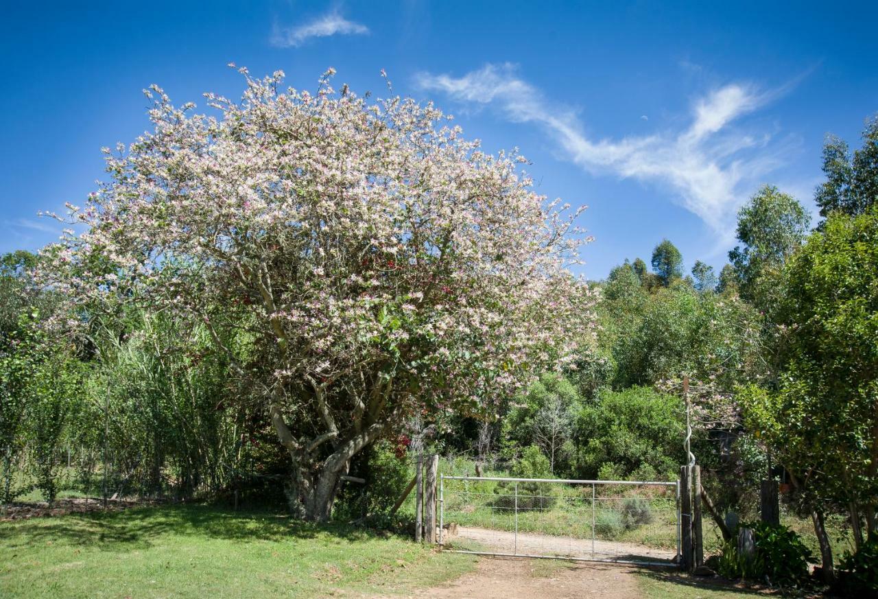 Assegai Rest Villa Robertson Bagian luar foto